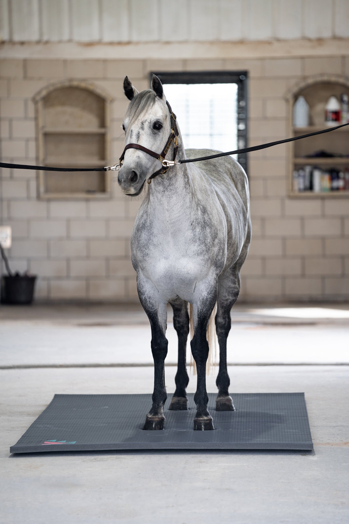 5x10ft Black Stall Mat