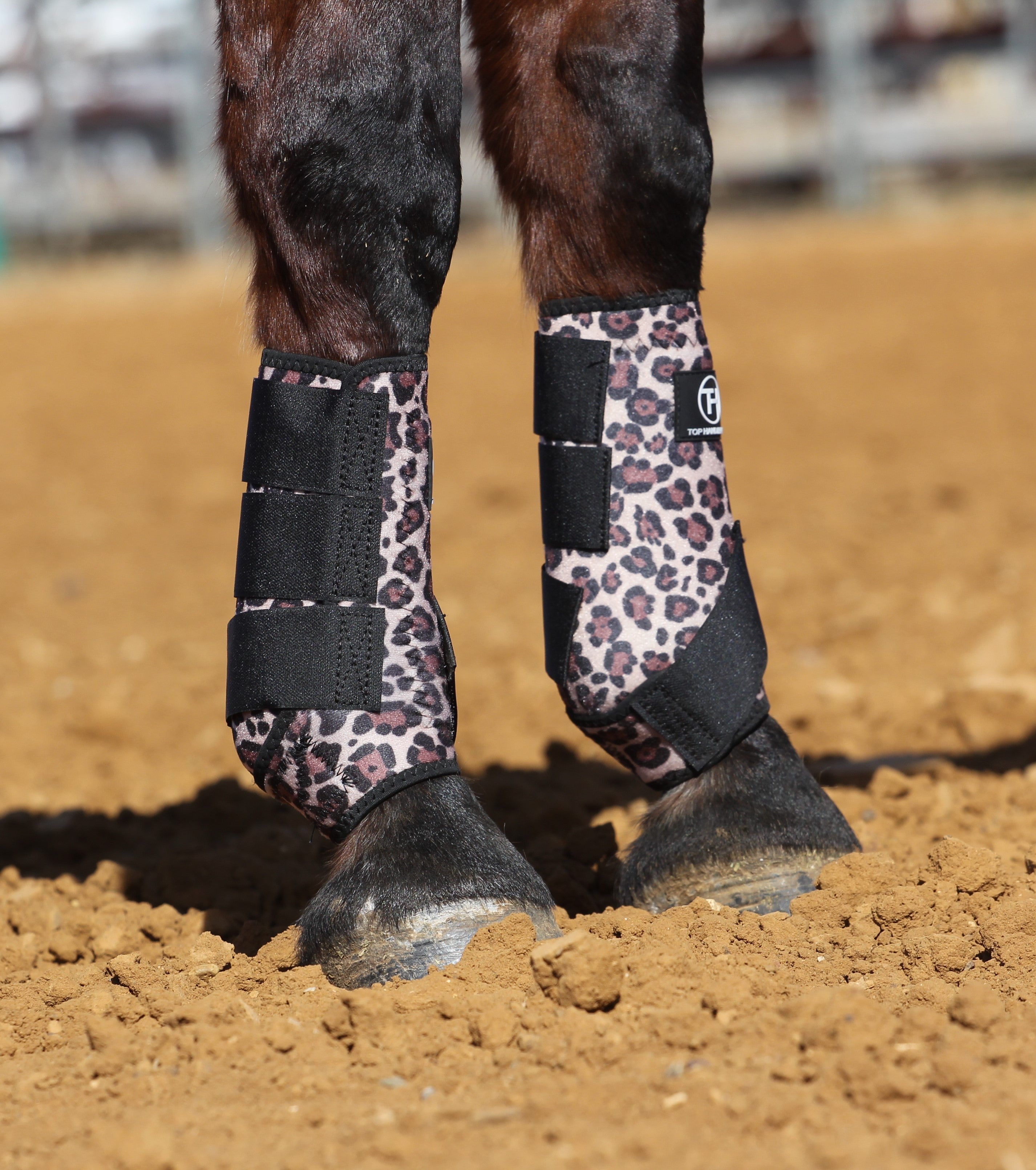 Cheetah horse boots hotsell