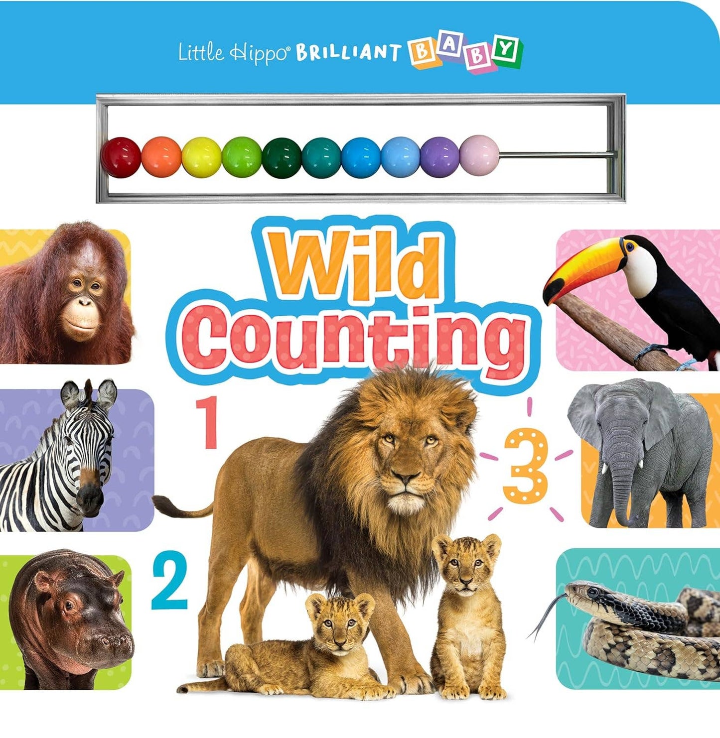 Wild Counting