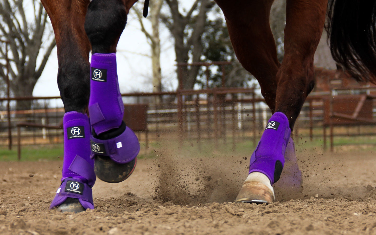 Solid Purple Sport Boot