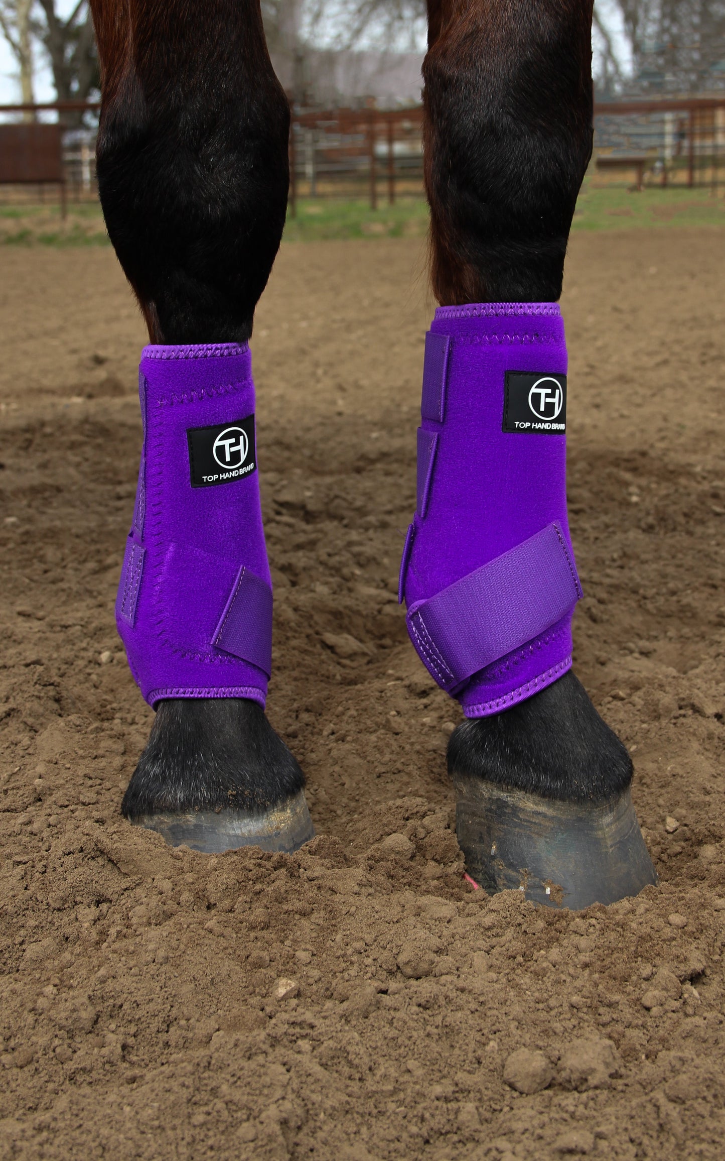 Solid Purple Sport Boot