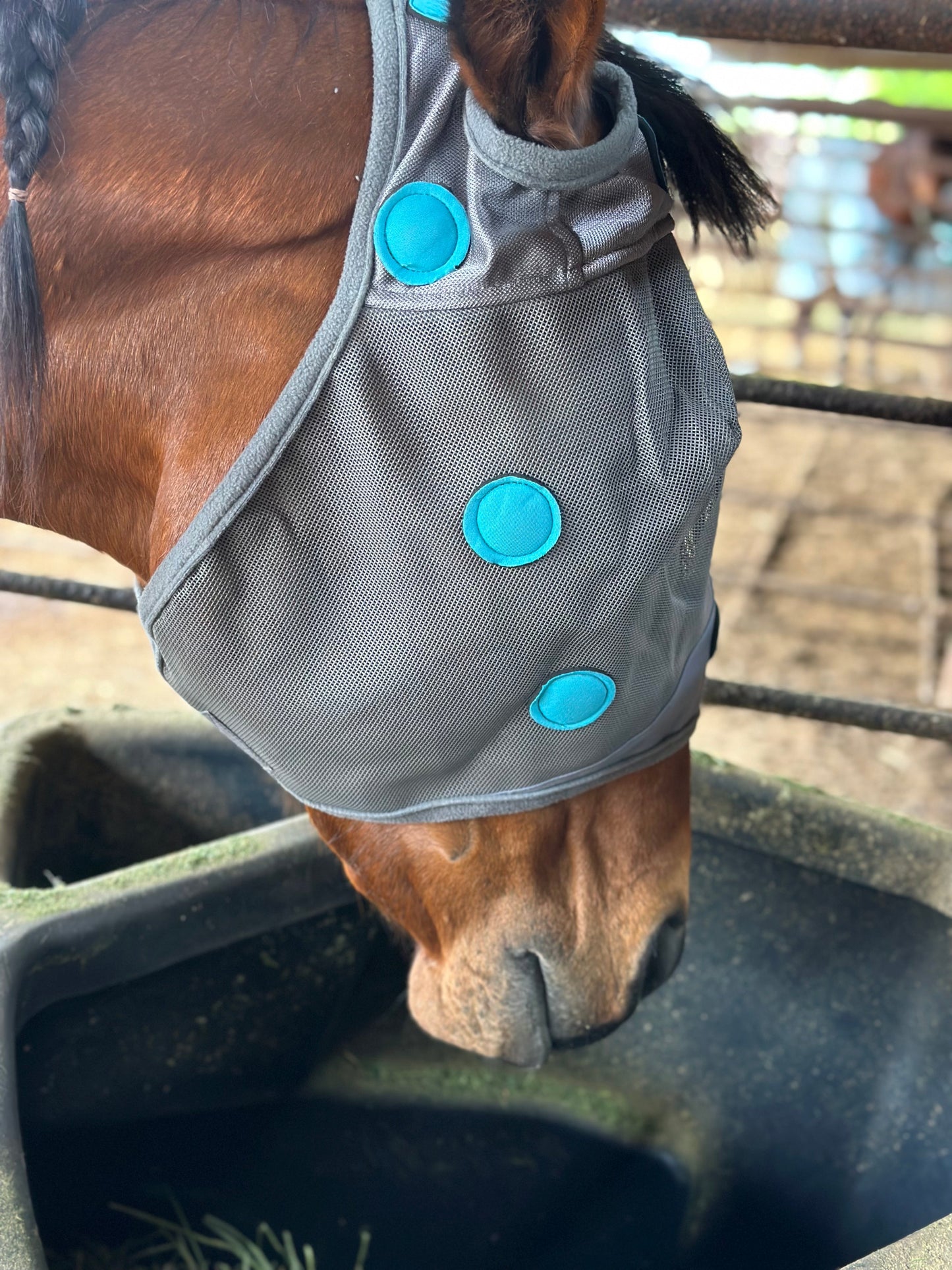 Magnetic Therapy Fly Mask