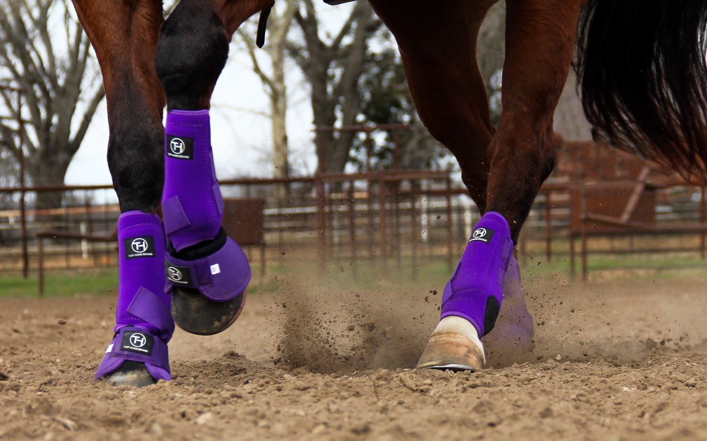 Solid Purple Sport Boot