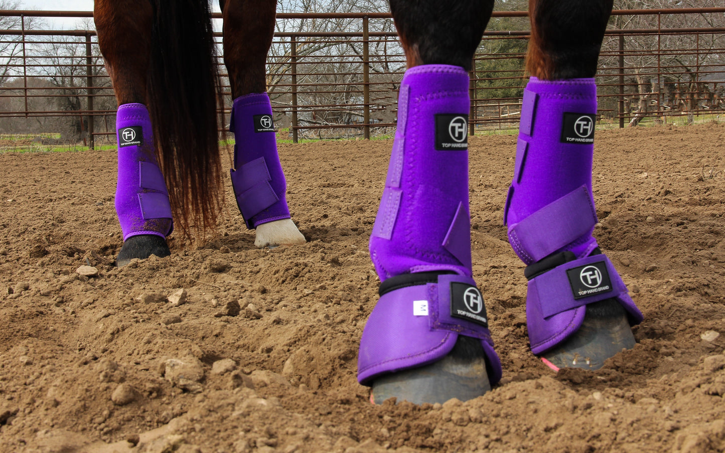 Solid Purple Sport Boot